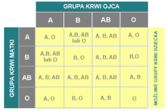 Grupa Krwi Dziecka A Ojcostwo?