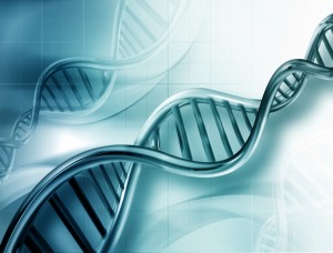 Czy badania DNA są wiarygodne, Czy badania genetyczne są wiarygodne